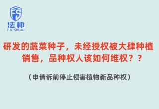 研发的蔬菜种子，未经授权被大肆种植销售，品种权人该如何维权？——法帅网